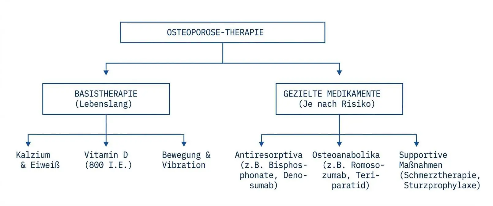 Grafik Übersicht der Osteoporose-Therapien nach S3 Leitlinie