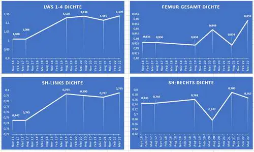 Anwender Erfahrungen Marodyne LiV Vibrationsplatte